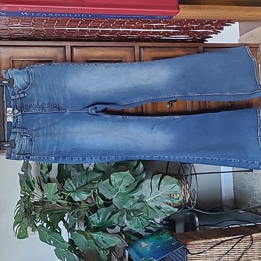 We the Free People, CRVY Robin Flare Size 30
